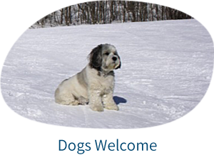 welcoming the dogs