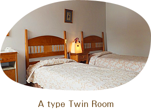 A type For couple, single use.(basic) Twins beds