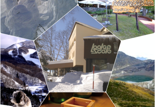 Welcome to our renwal web